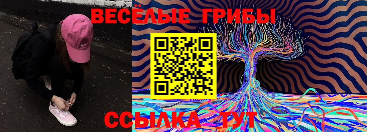 купить наркоту  Псилоцибиновые грибы мицелий  Галлюциногенные грибы MAGIC MUSHROOMS  Вход с VPN  Нарткала 